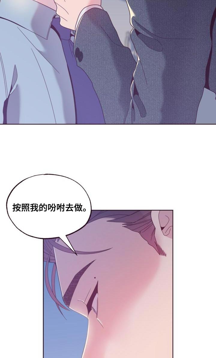 第21章：条件