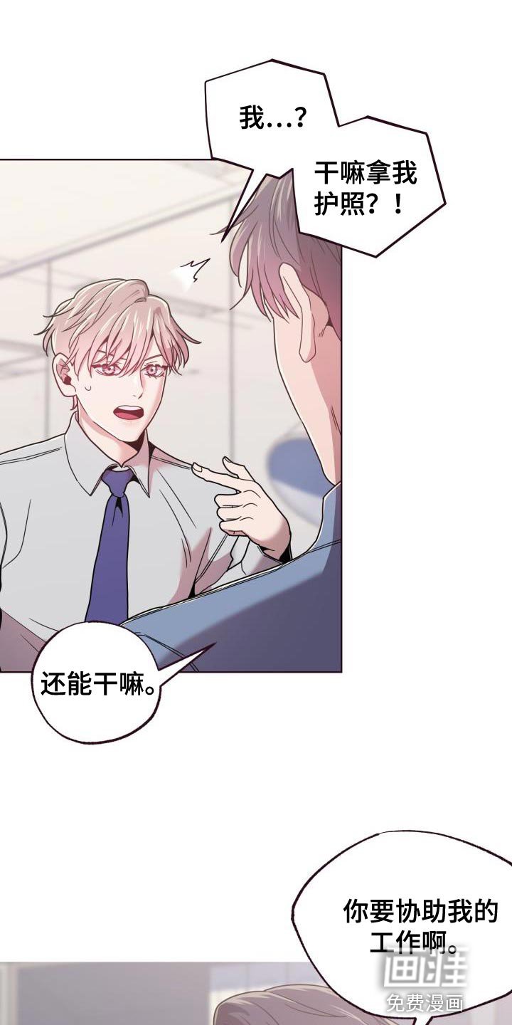 第31章：协助