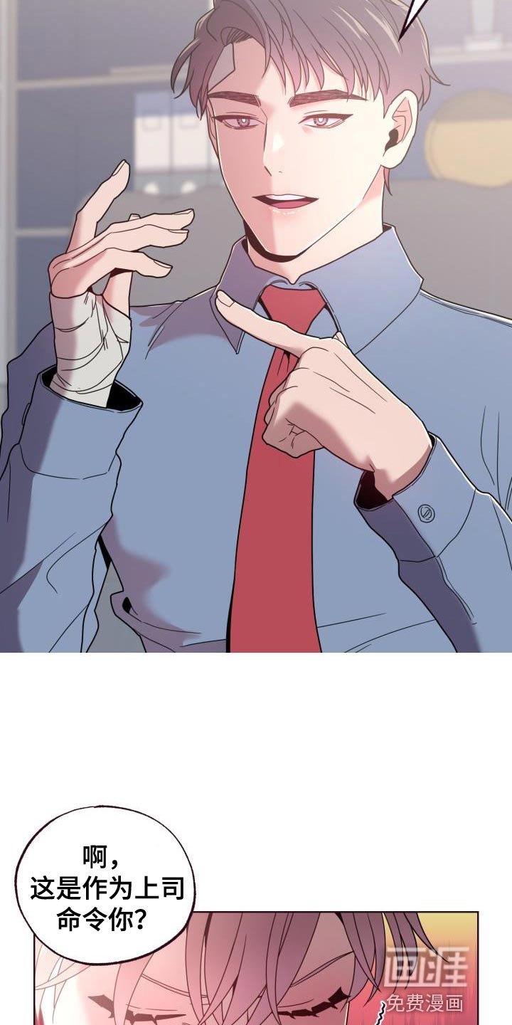 第31章：协助