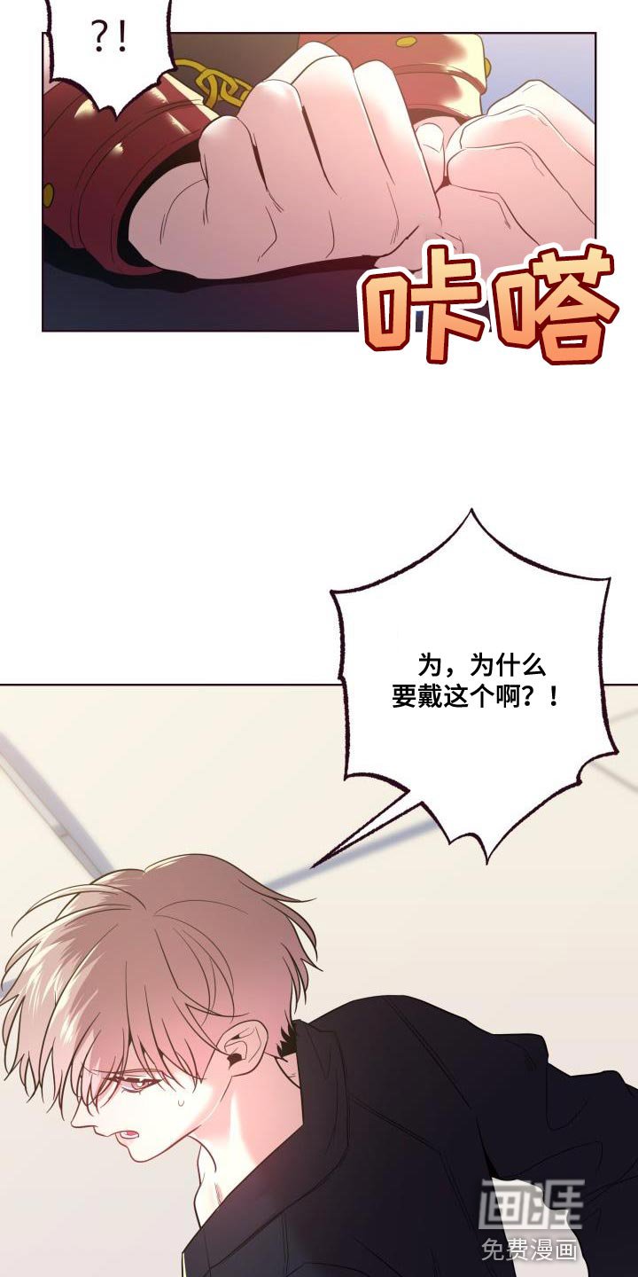 第45章：我答应