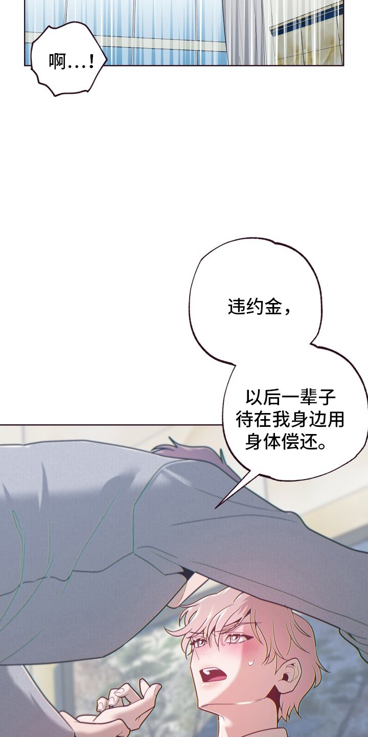 第66章：违约金