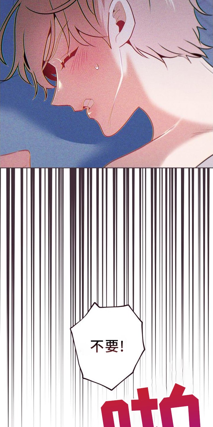 第67章：道歉