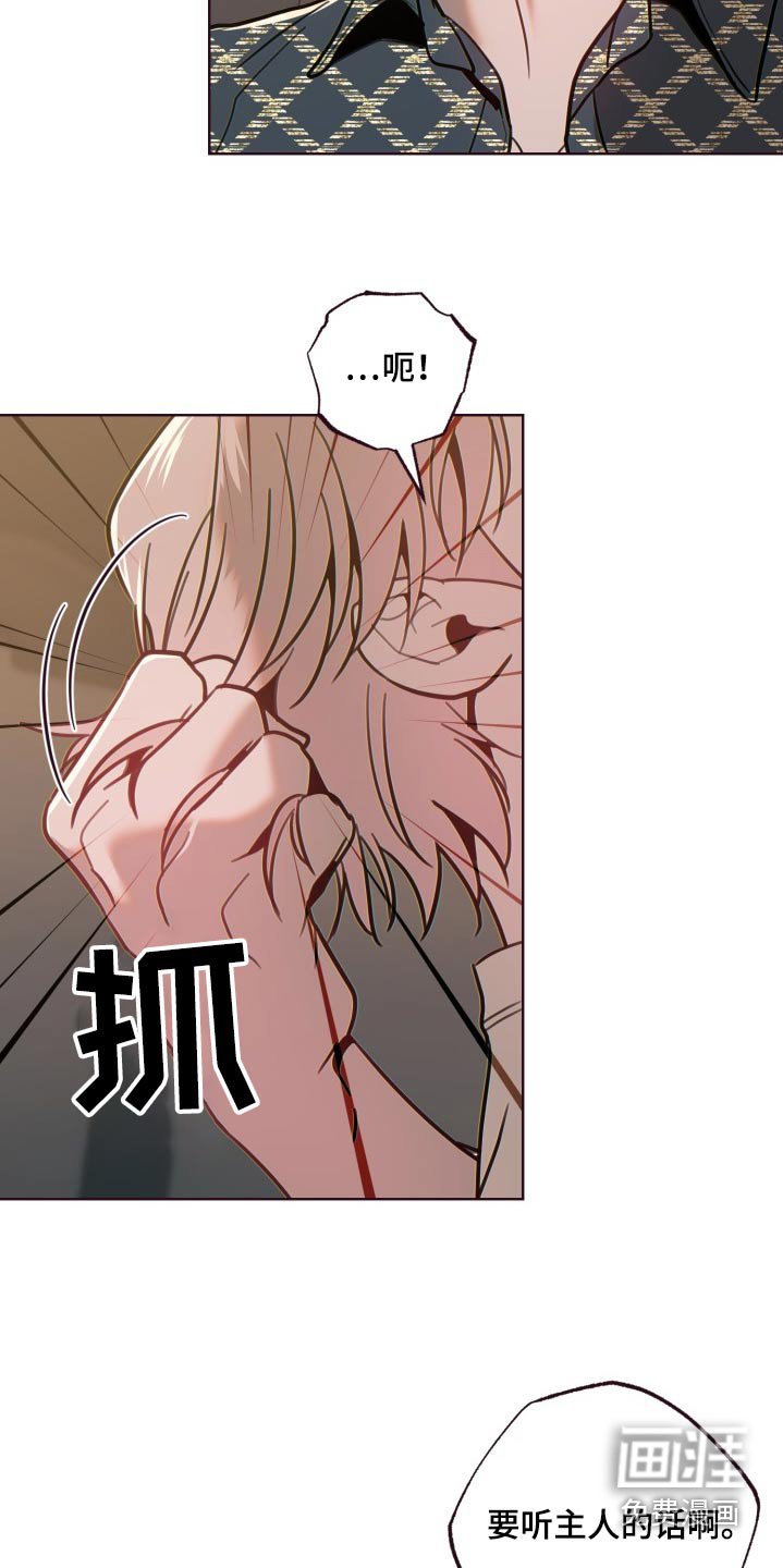 第81章：爆炸