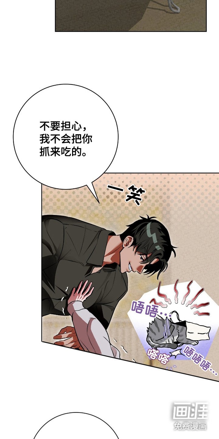第8章：心情复杂
