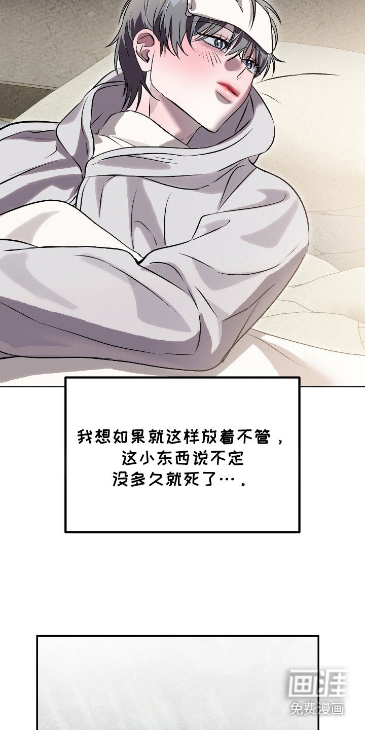 第9章：照顾