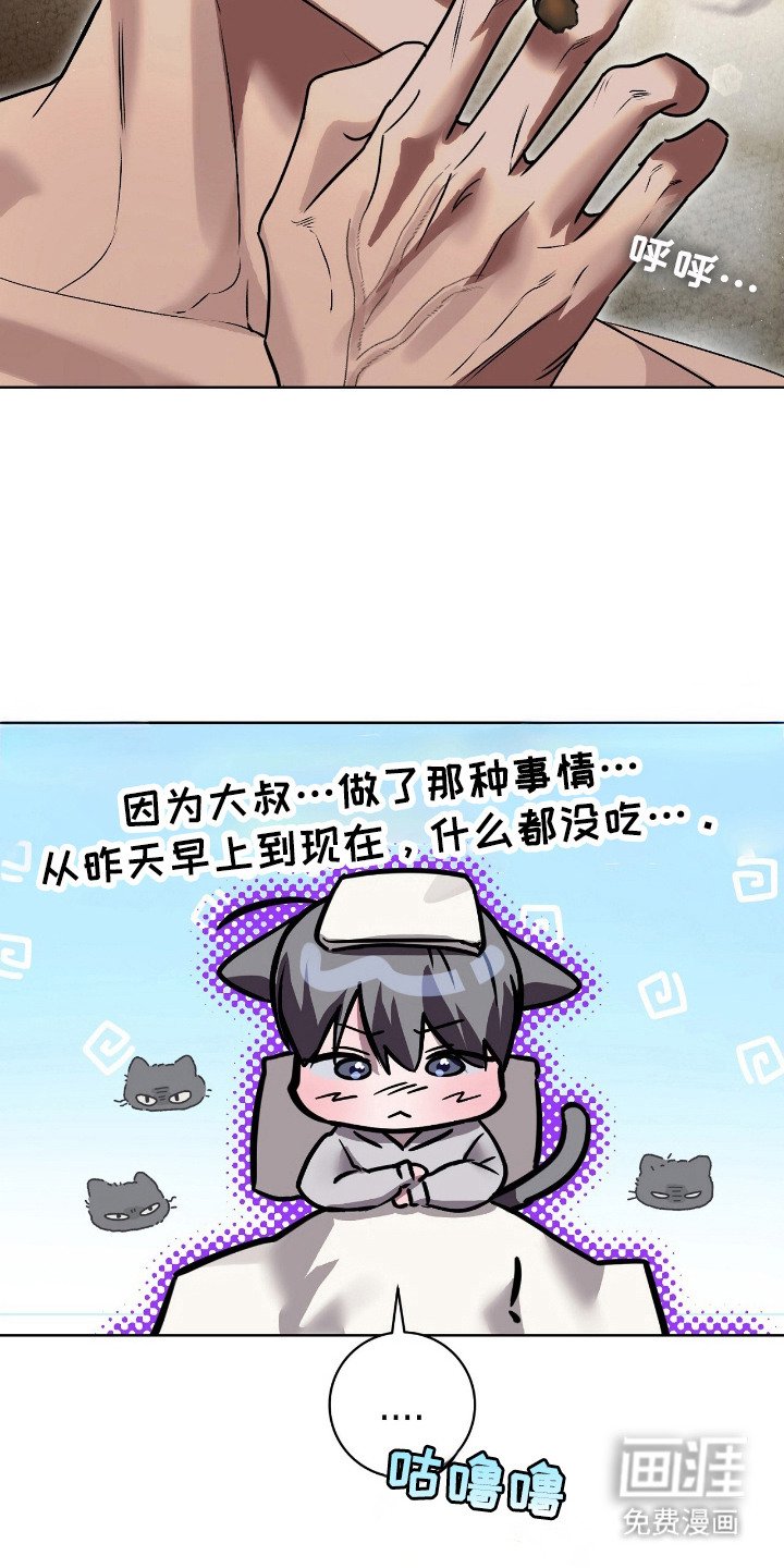 第9章：照顾