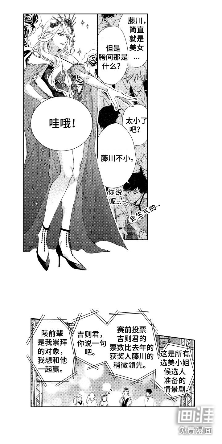 第15章：替代品