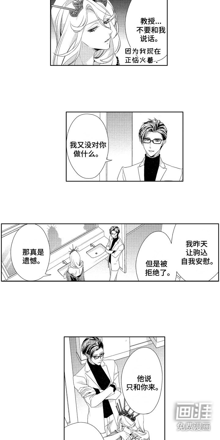 第15章：替代品