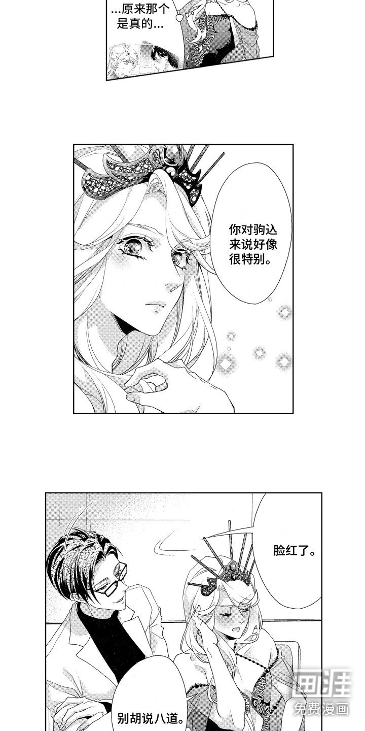 第15章：替代品