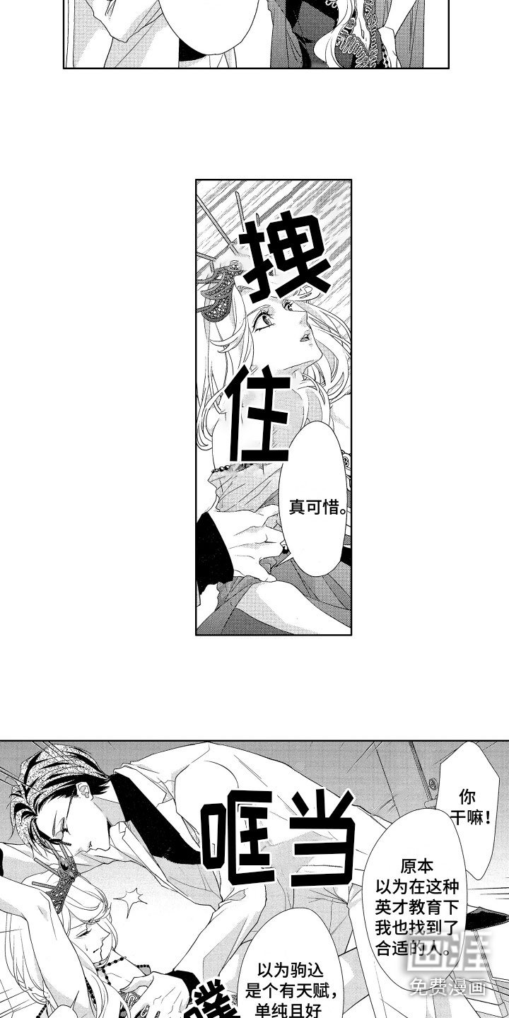 第15章：替代品