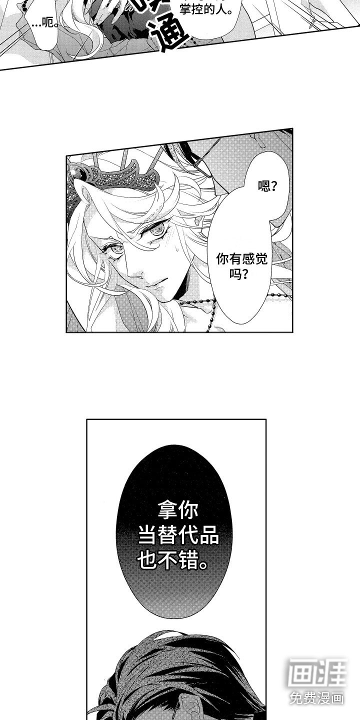 第15章：替代品