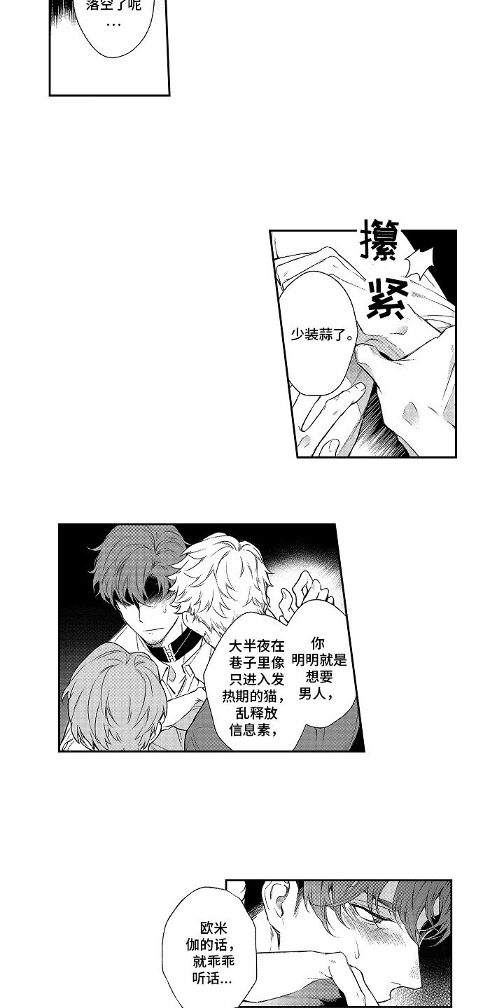 第1章：发热期