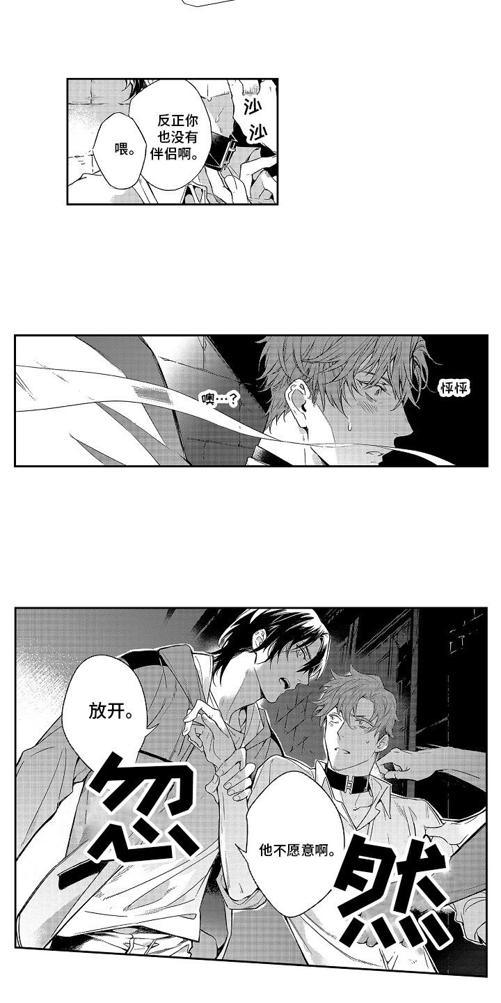 第1章：发热期
