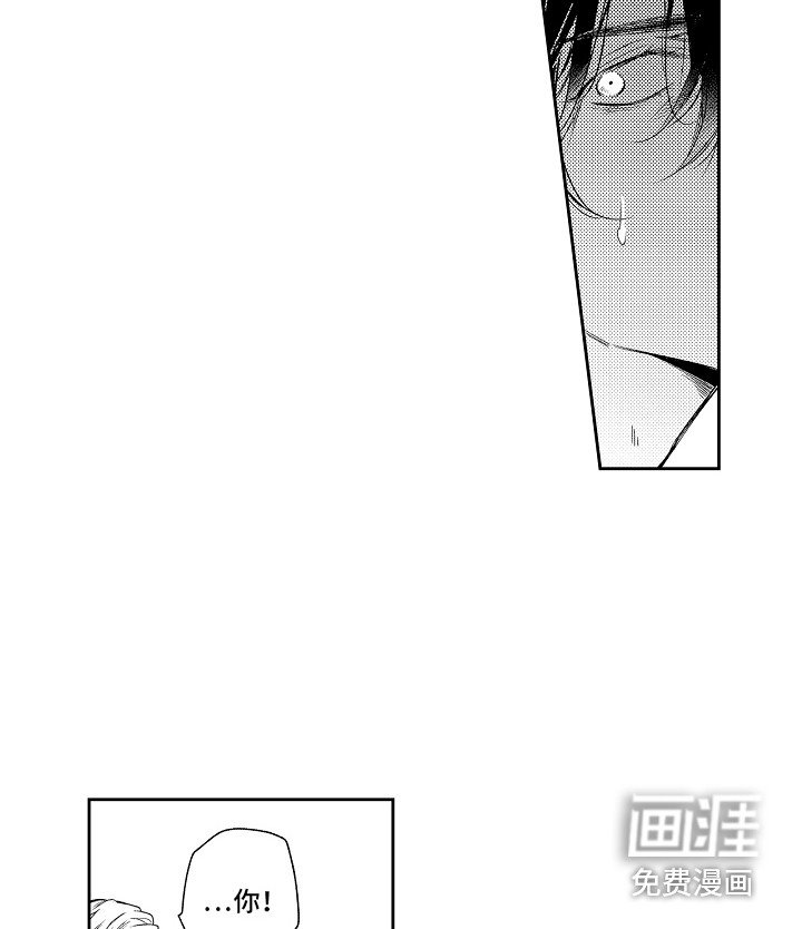 第10章：解释