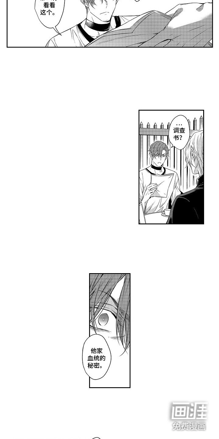 第24章：调查书