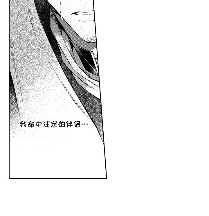 第7章：命中伴侣