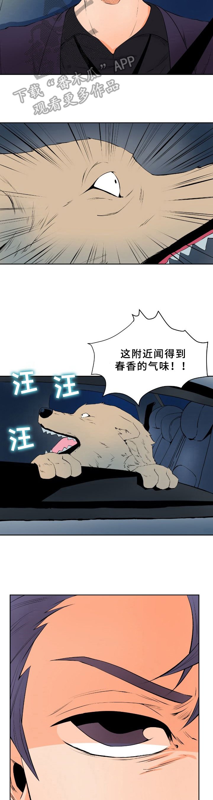第17章：寻踪