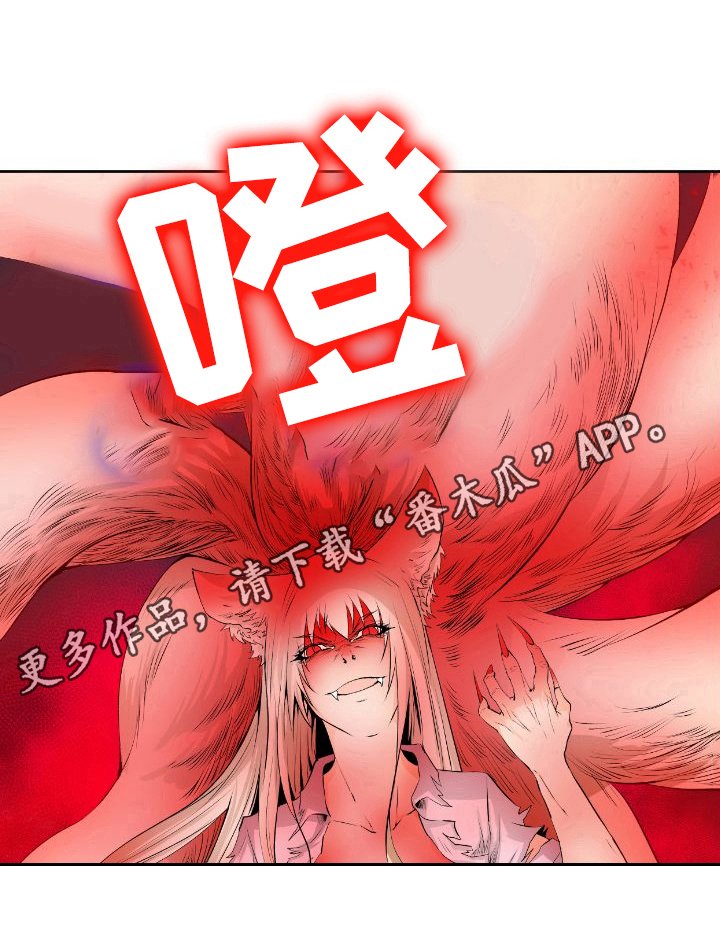 第19章：新形态