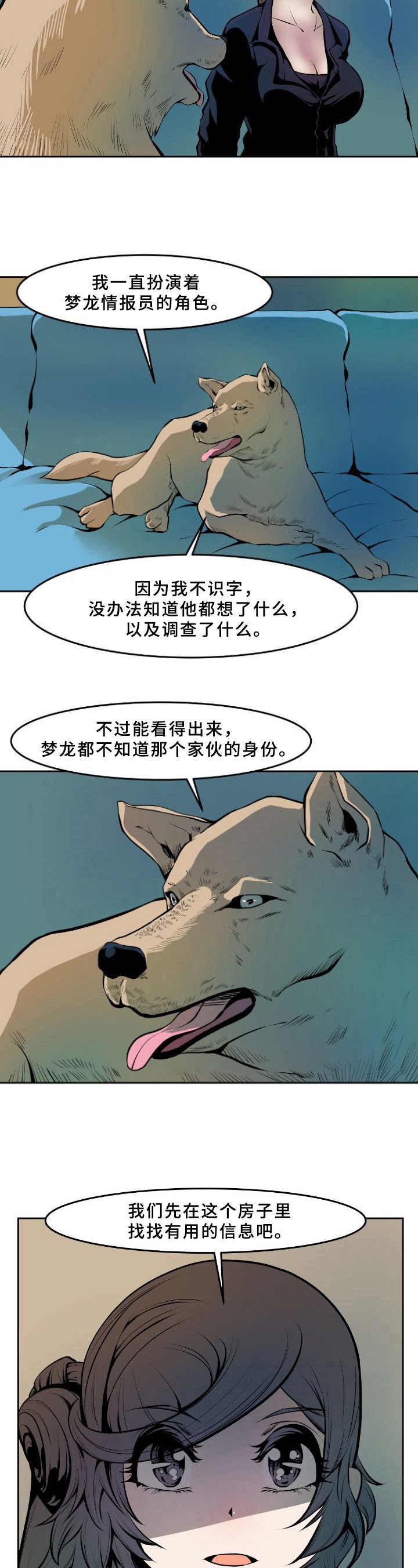 第29章：解决