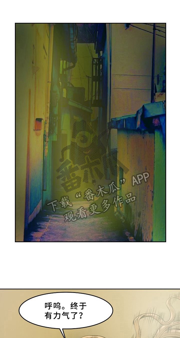 第41章：同伴
