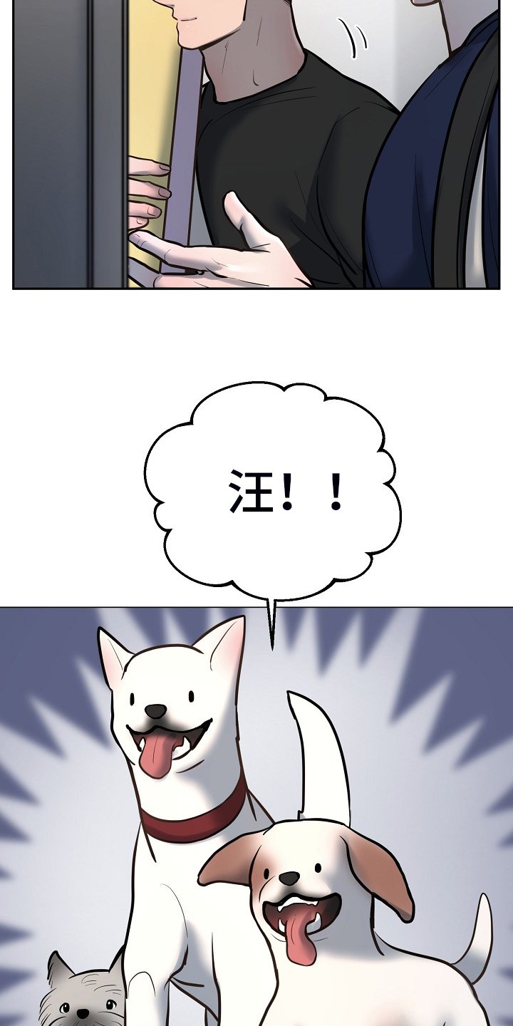 第39章：给狗狗拍照