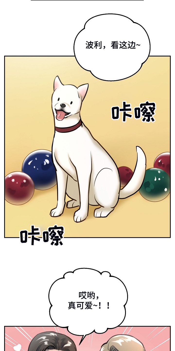 第39章：给狗狗拍照
