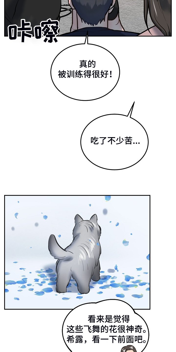 第39章：给狗狗拍照
