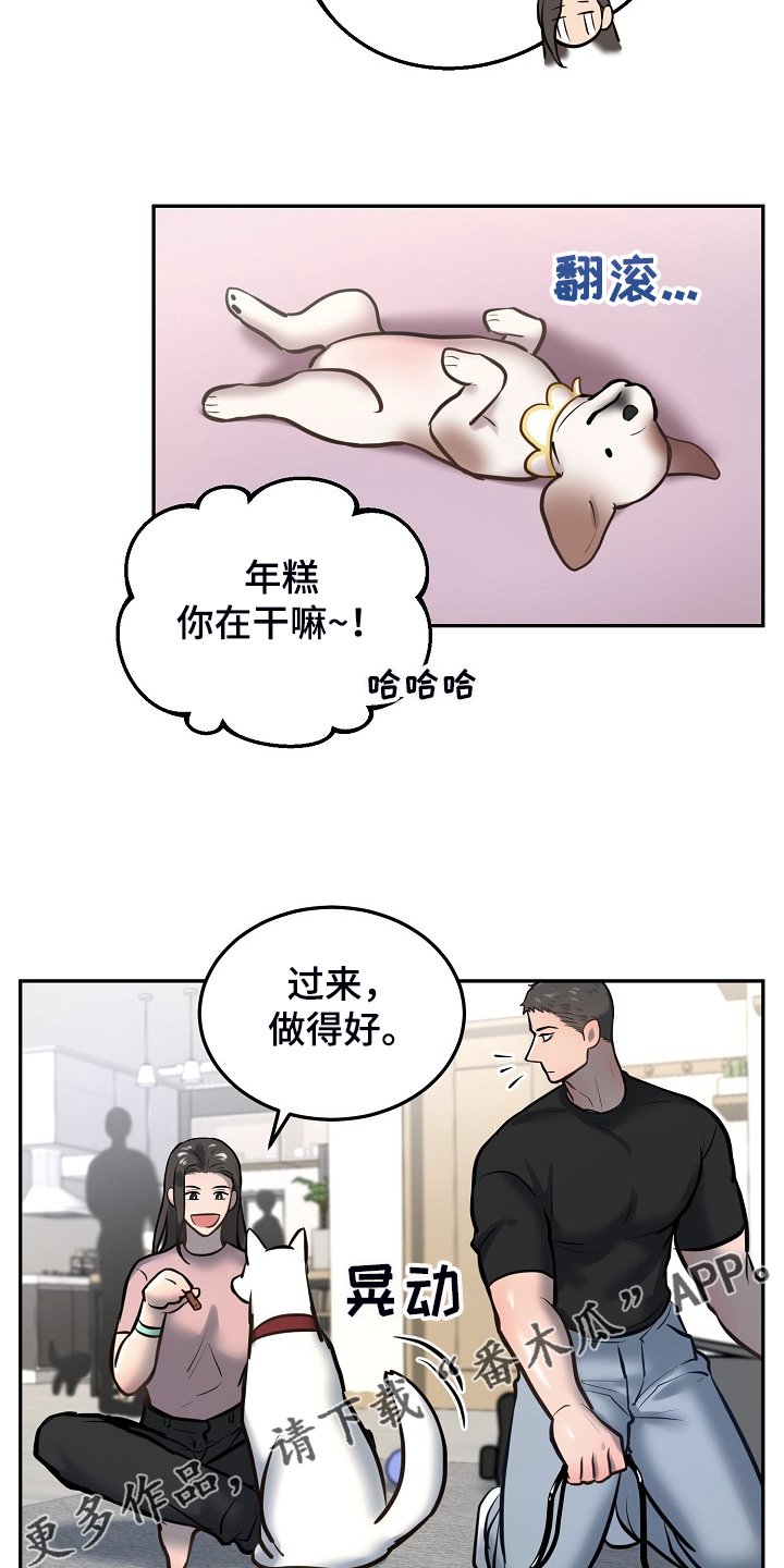 第39章：给狗狗拍照