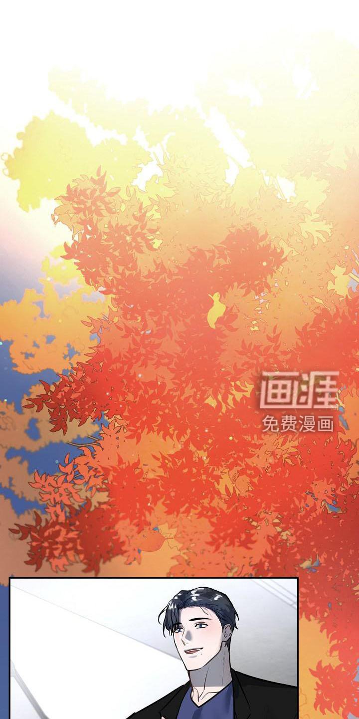 第64章：畅想