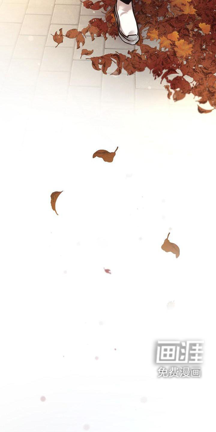 第64章：畅想