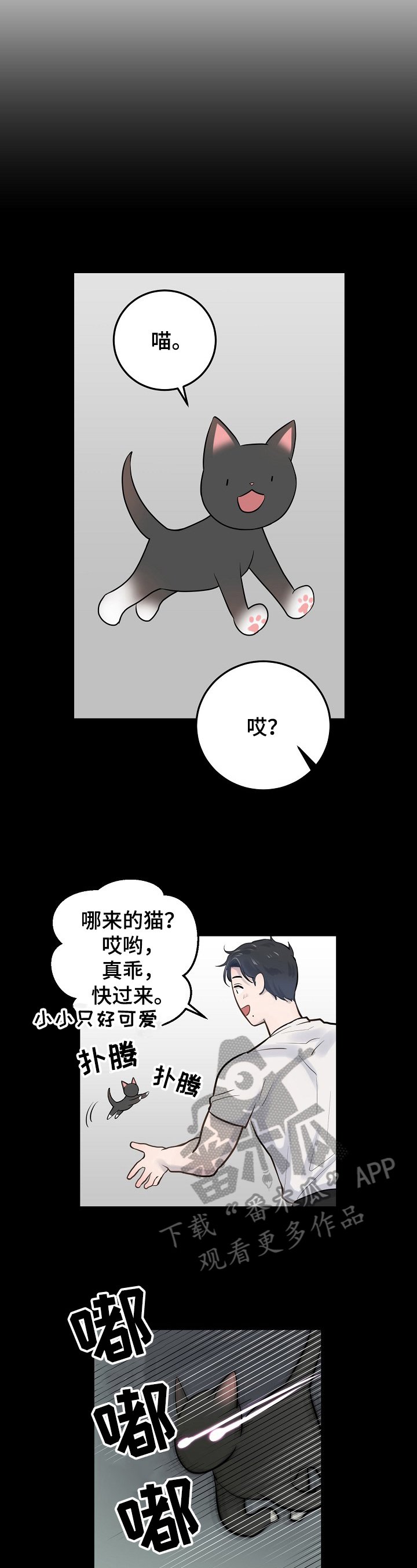 第7章：应付
