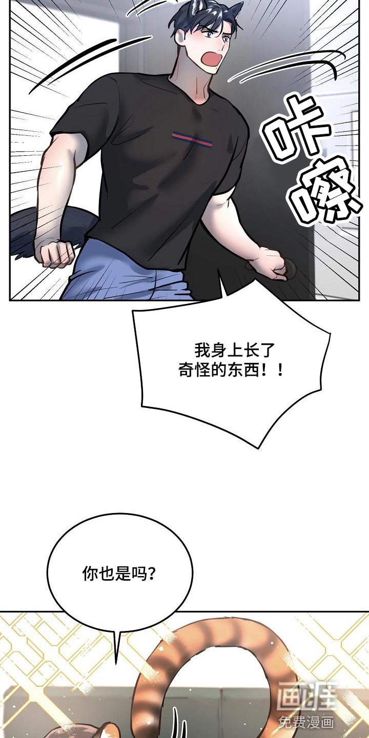 第73章：【番外】心动的感觉
