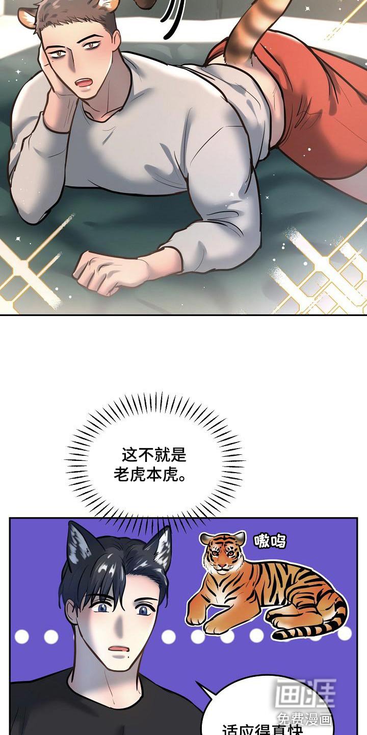 第73章：【番外】心动的感觉