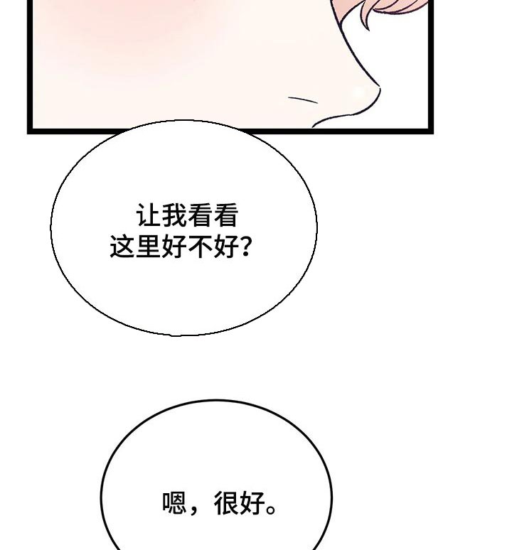 第55章：黑猫