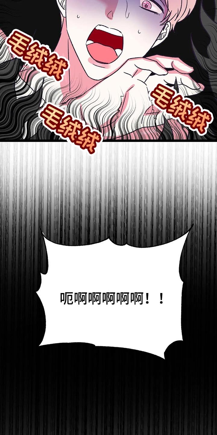第55章：黑猫