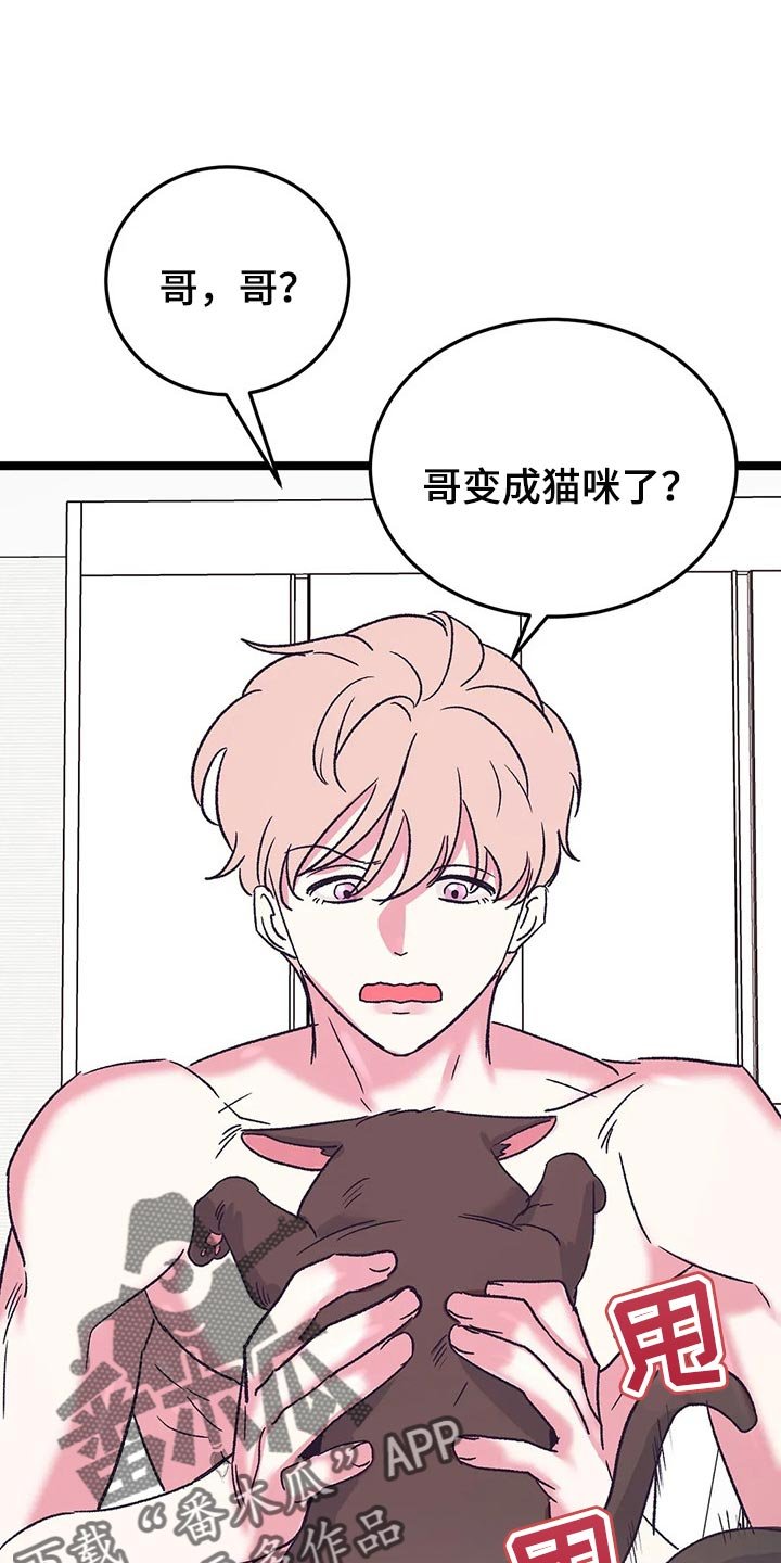 第56章：我也喜欢你【完结】