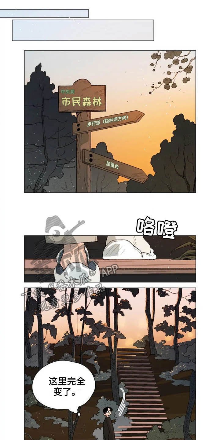 第11章：后山
