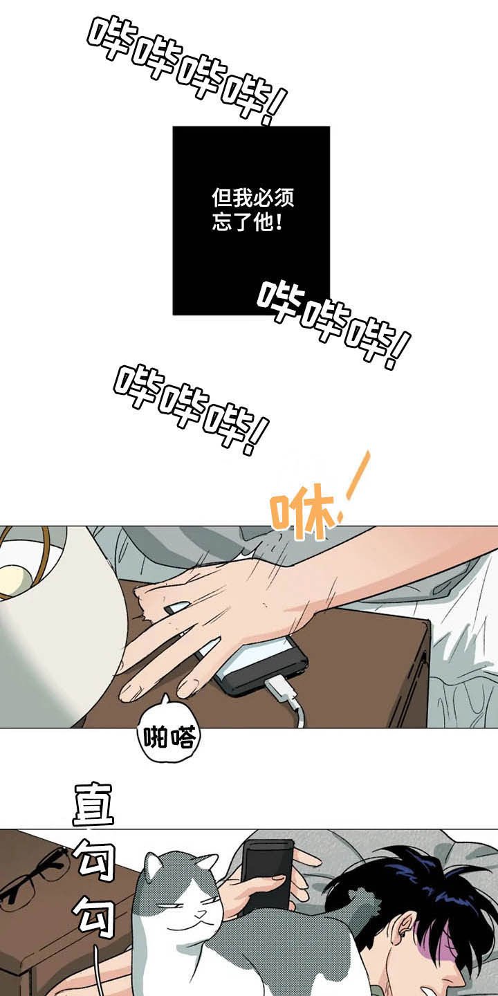 第12章：莫名期待