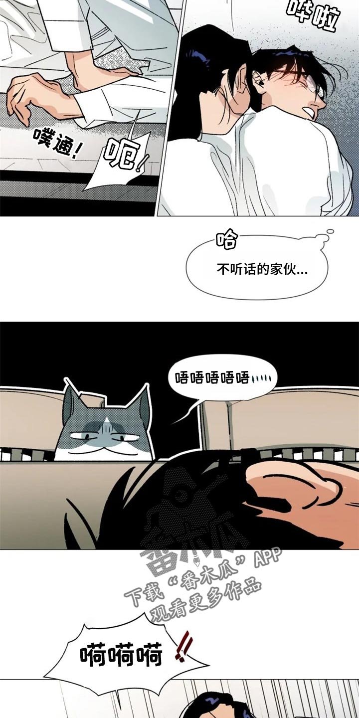 第20章：我没有越界
