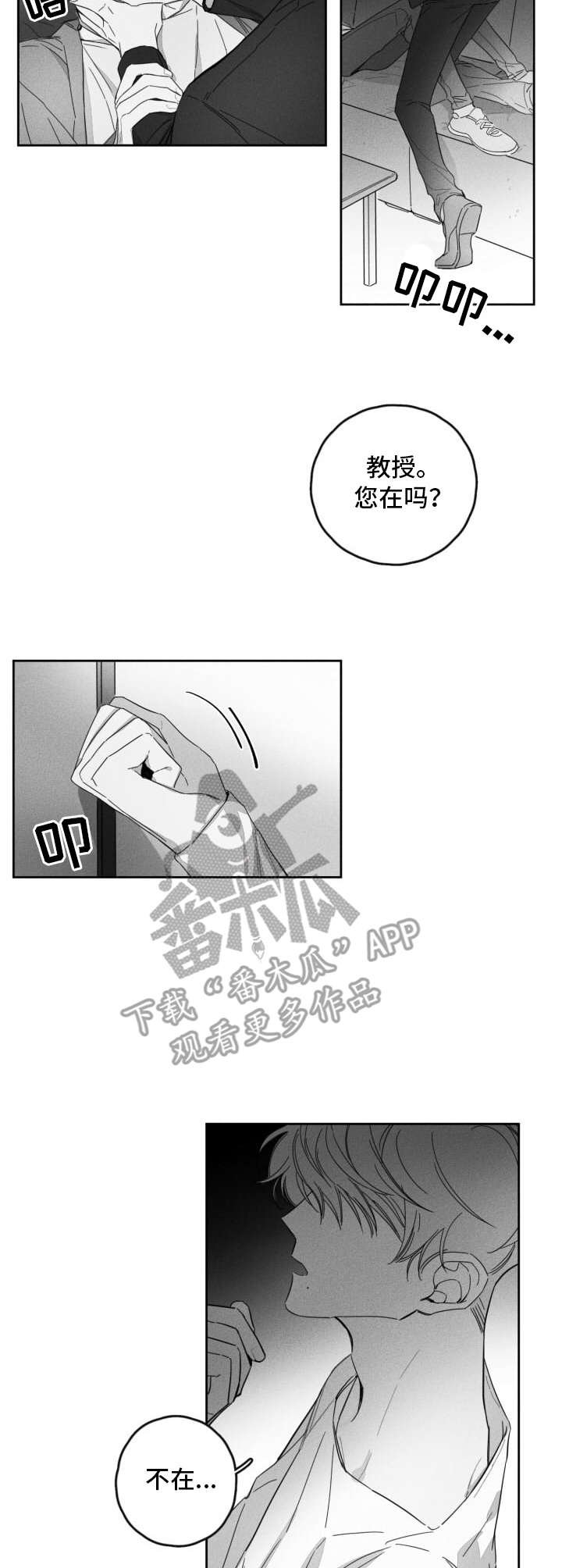 第17章：疯狂