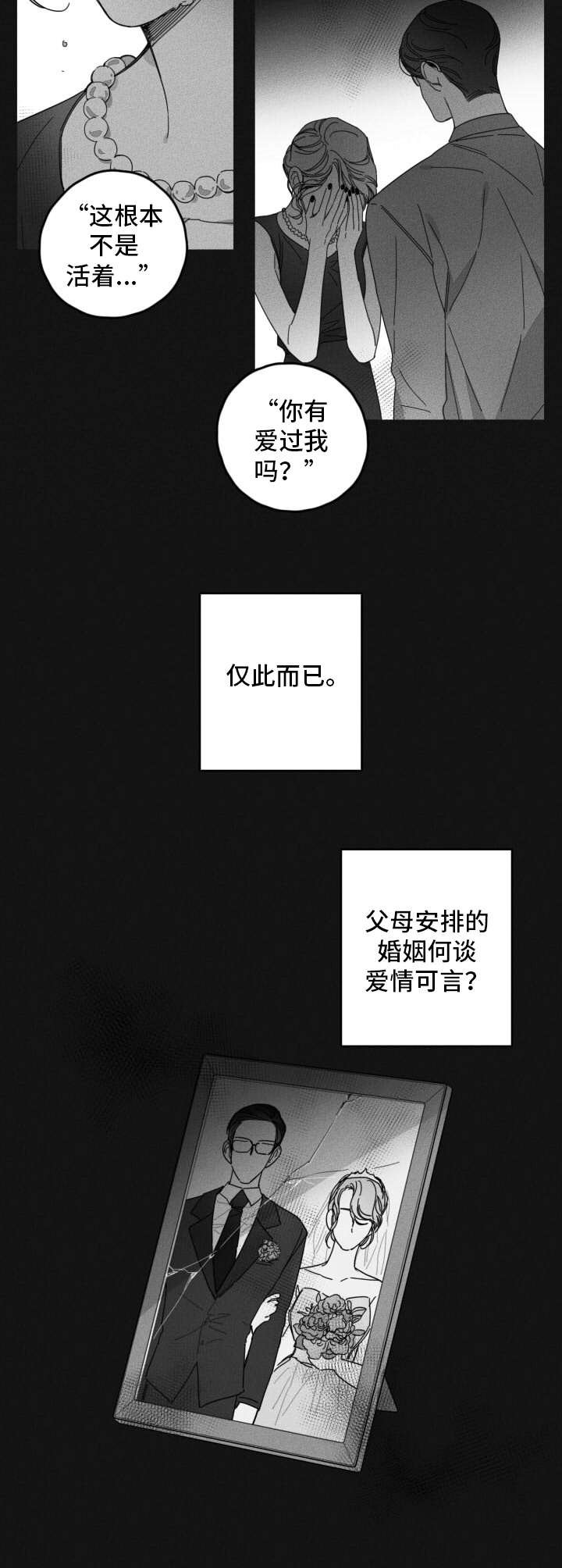 第31章：不愿相信