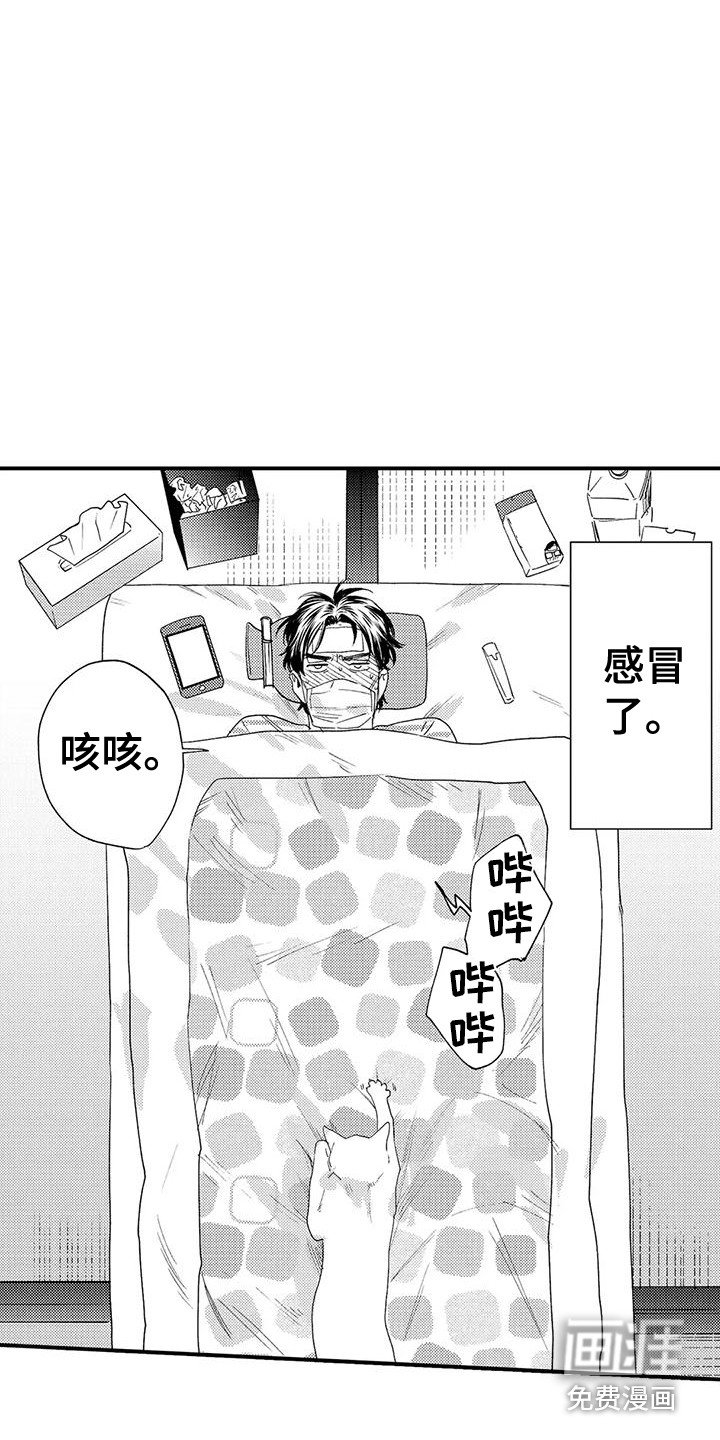 第13章：生病了