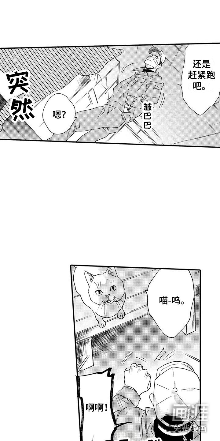 第17章：入室抢劫
