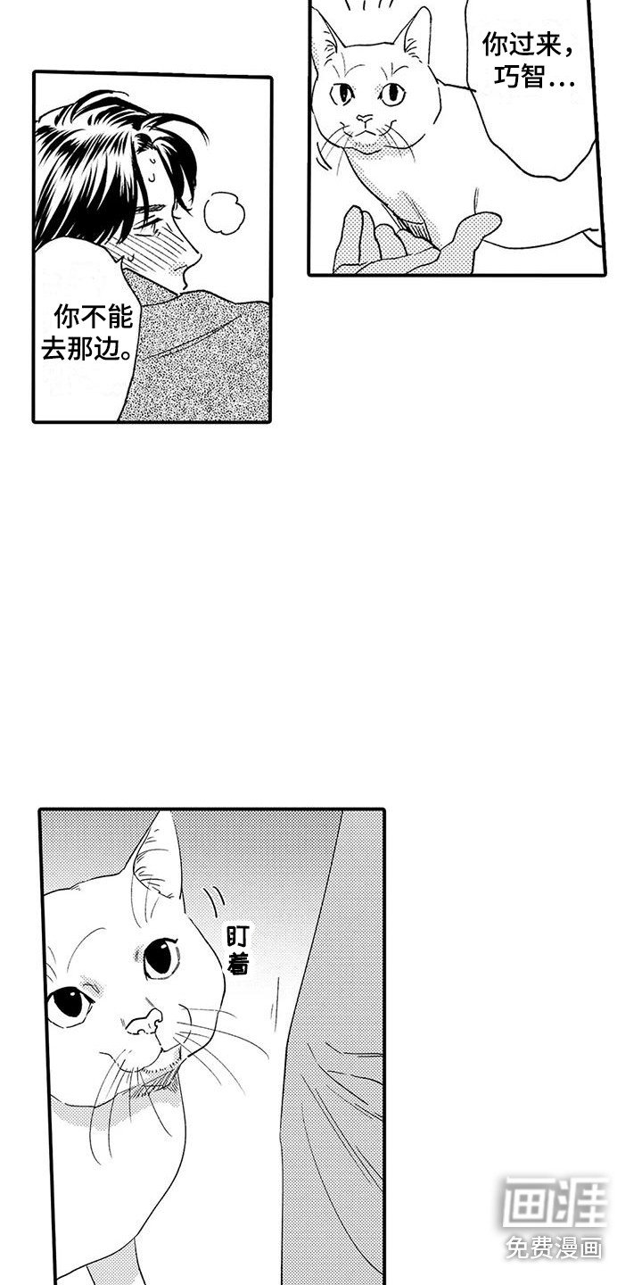 第17章：入室抢劫