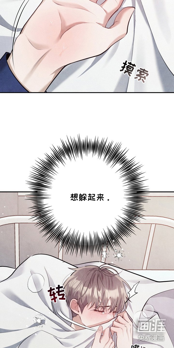 第14章：我行我素