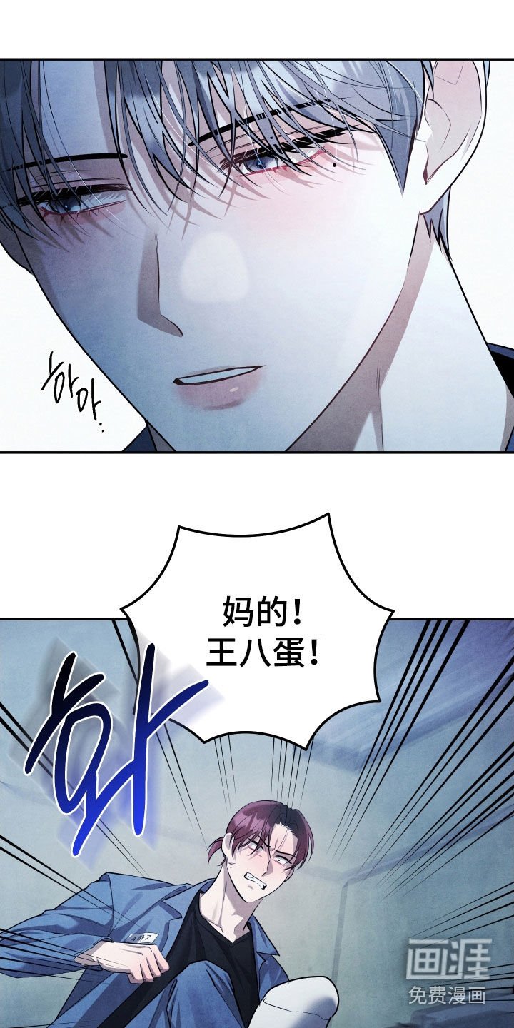 第28章：挑衅