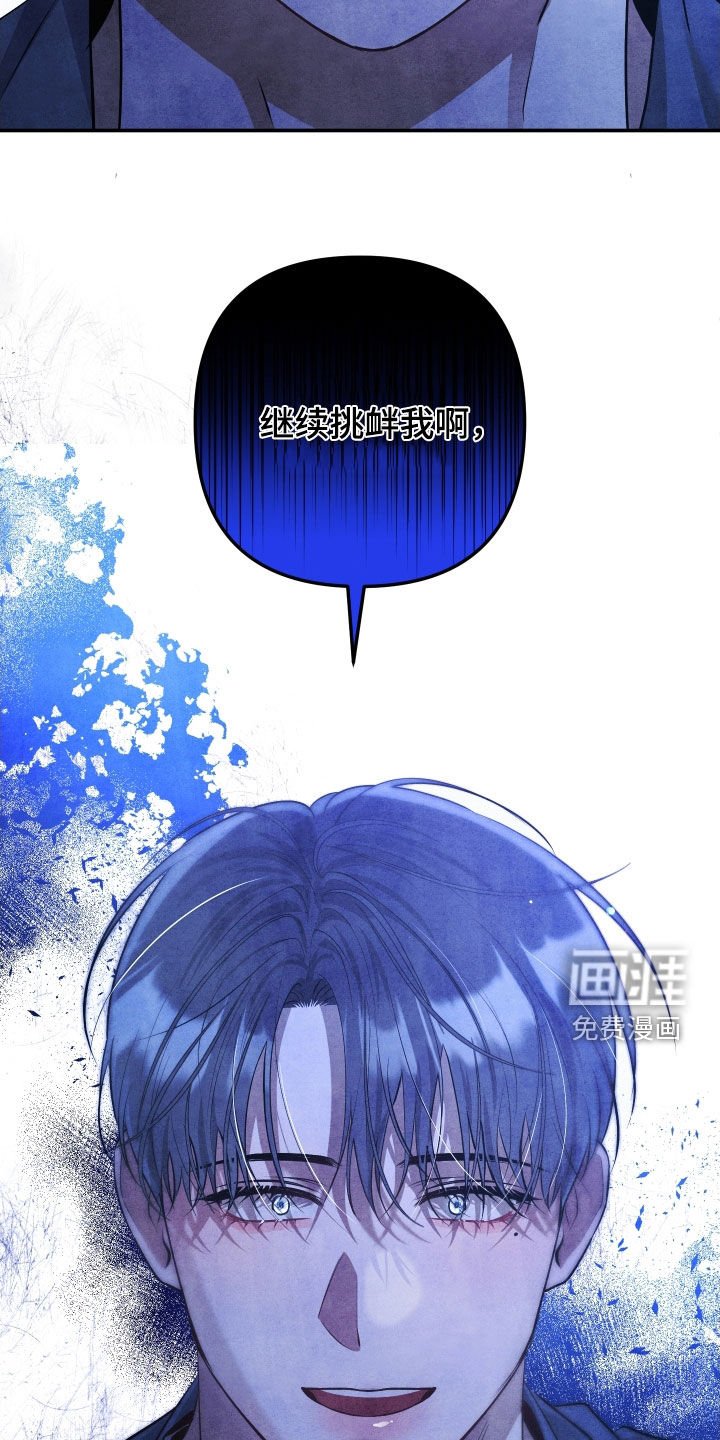 第28章：挑衅