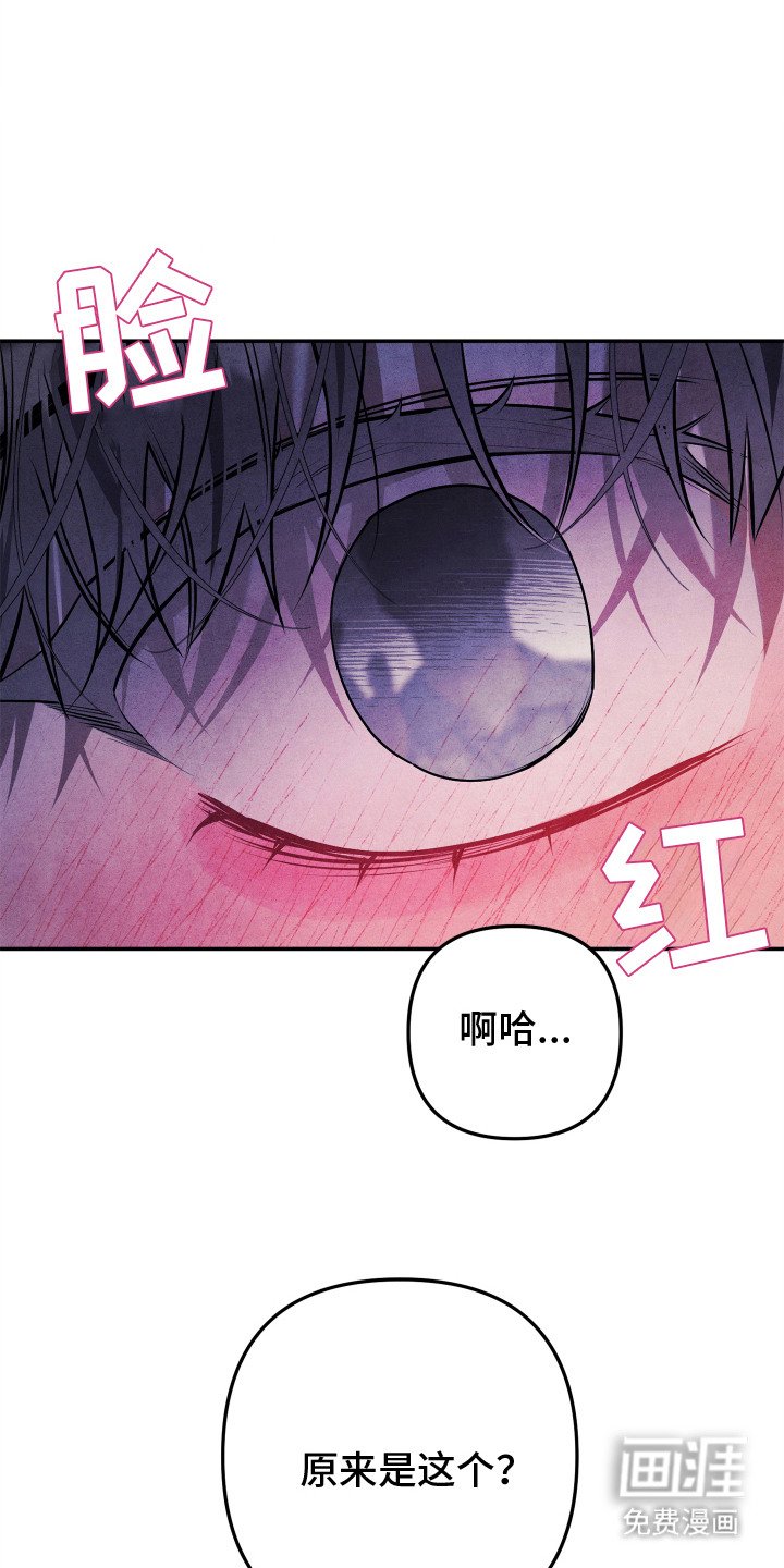 第3章：同父异母