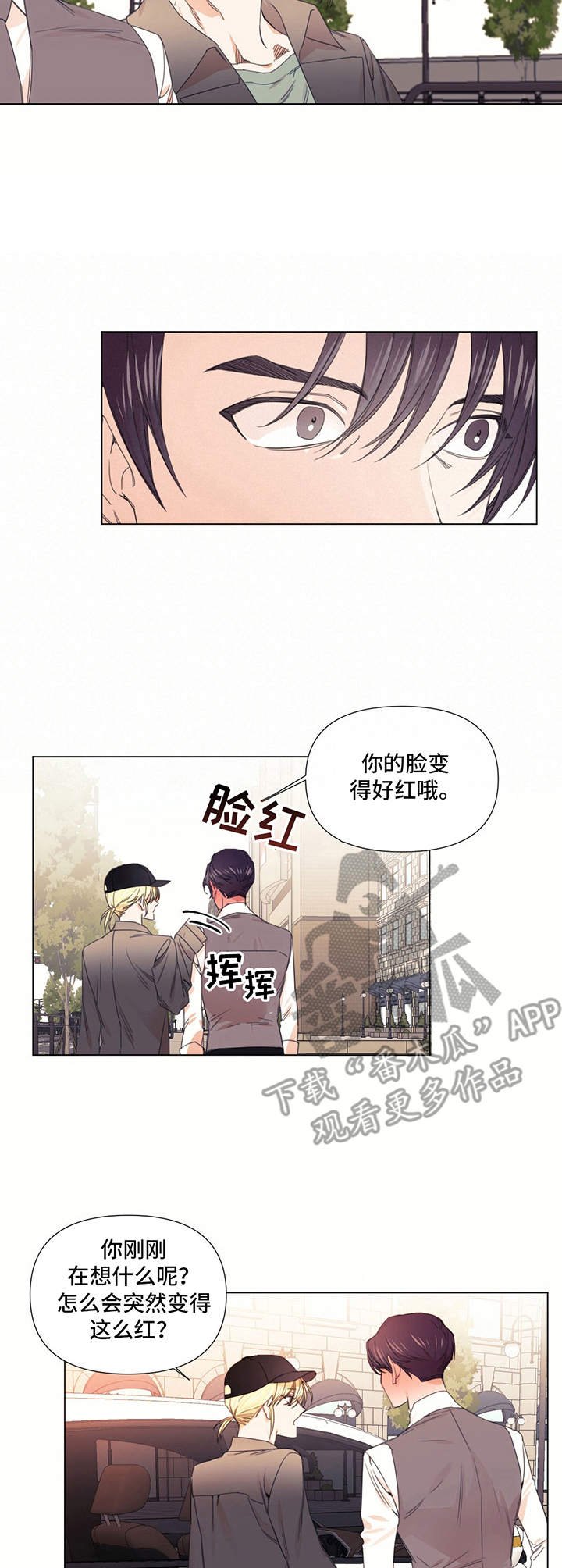 第18章：理想型