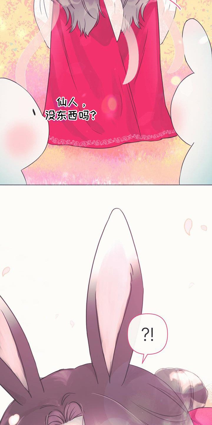 第1章：幼龙